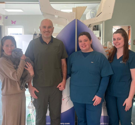 Holmes Veterinary Team