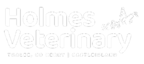 Holmes Veterinary - Tralee, Co Kerry | Castleisland