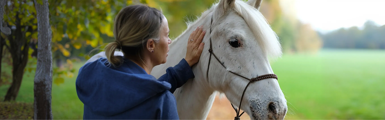 Woman with white horse during pre-purchase examination