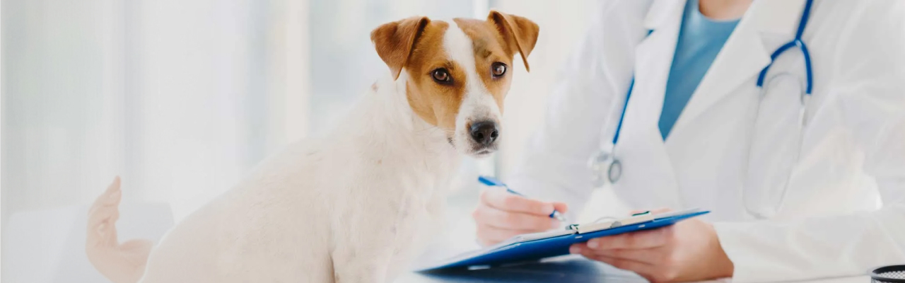 Holmes Veterinary prescription service