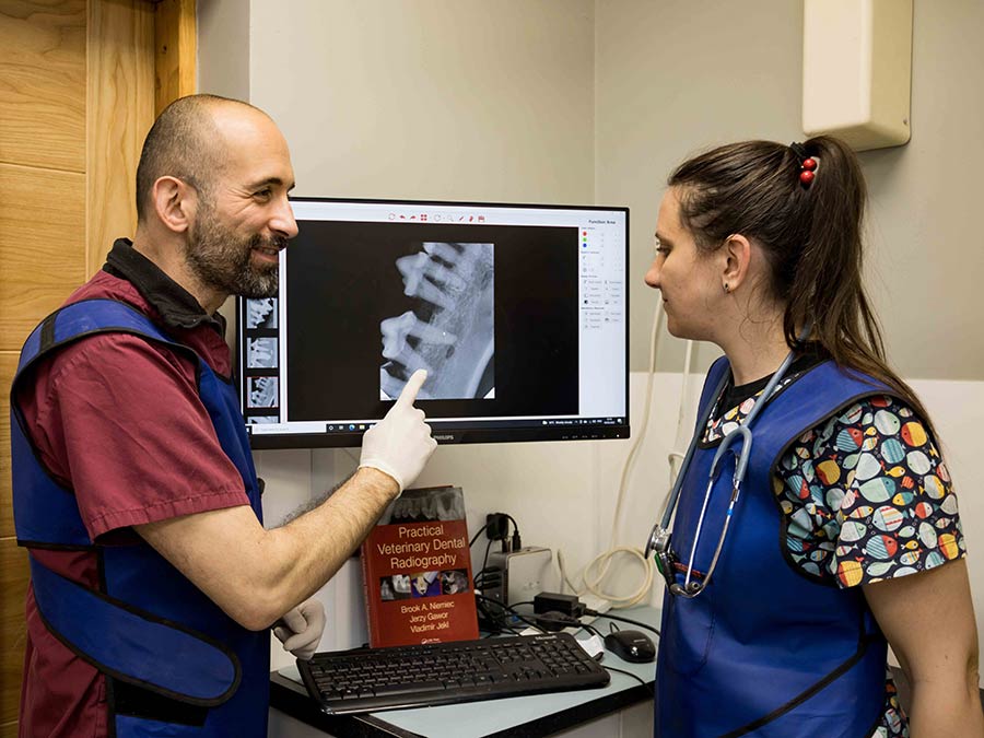 Team reviewing dental radiography