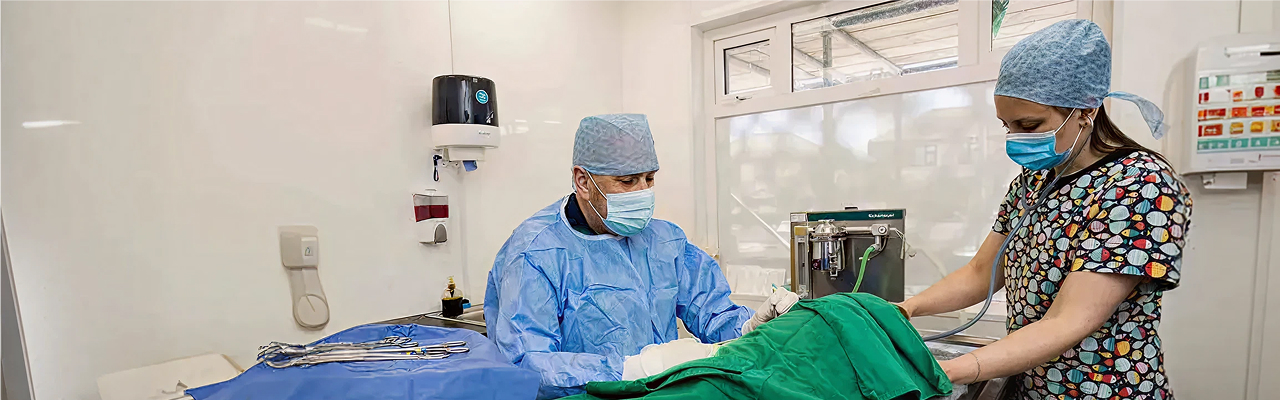 Veterinary surgery at Holmes Veterinary