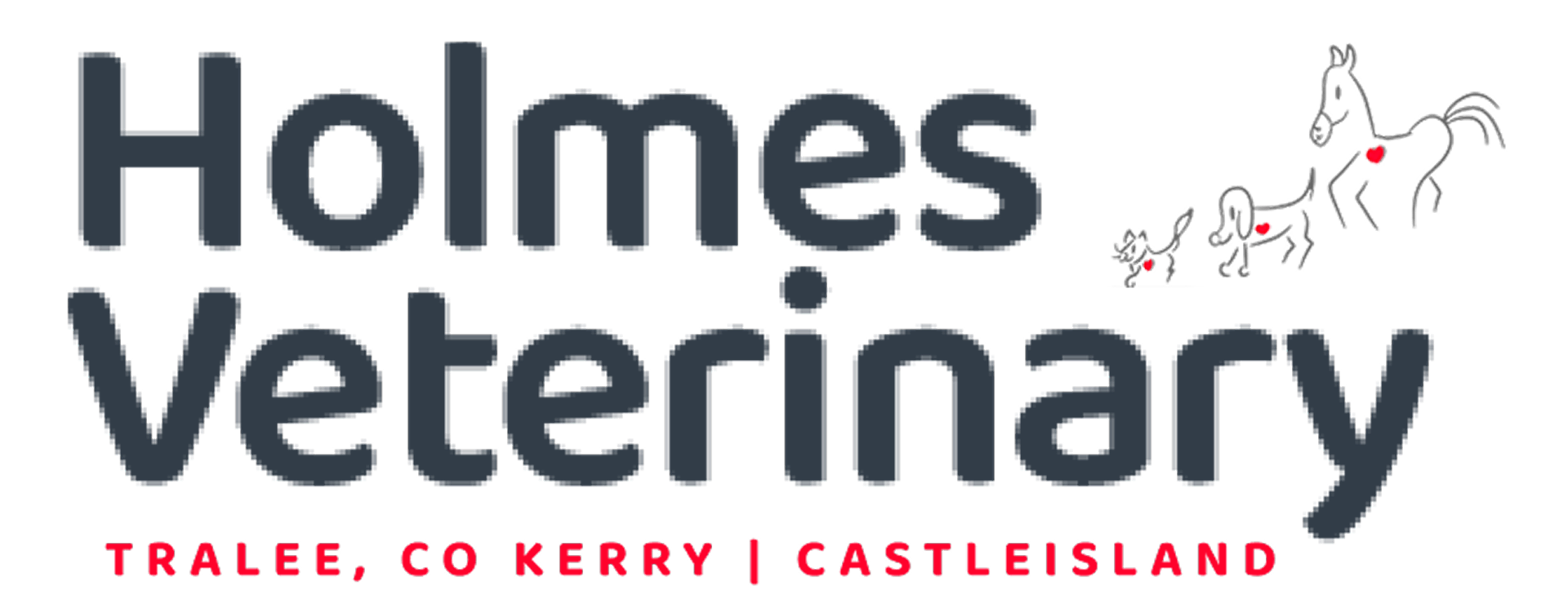 Holmes Veterinary logo